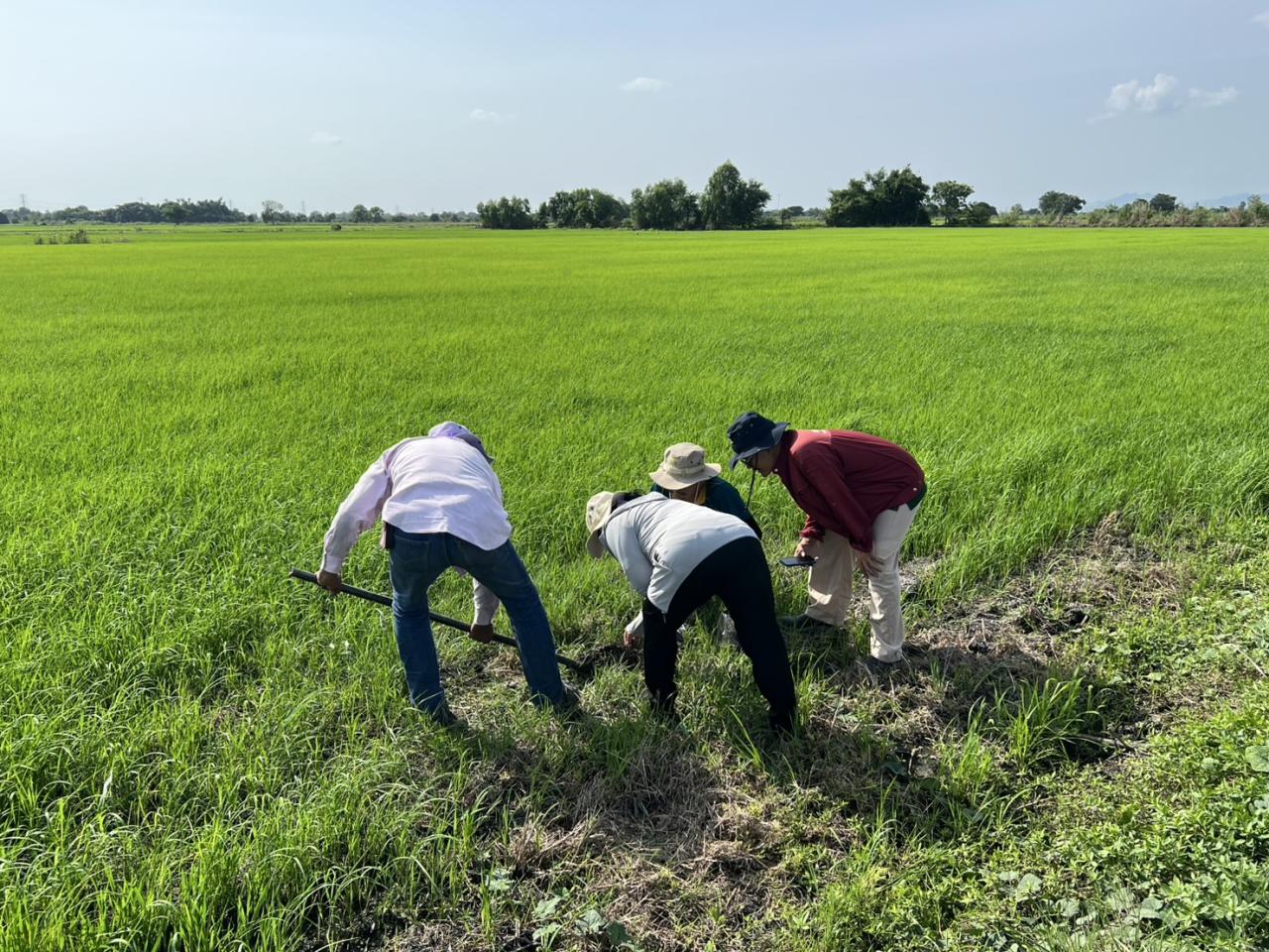 ภาพประกอบที่ 3