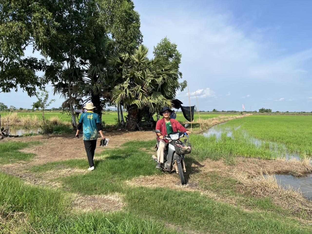 ภาพประกอบที่ 4