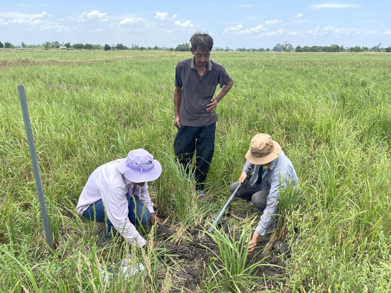 ภาพประกอบที่ 5