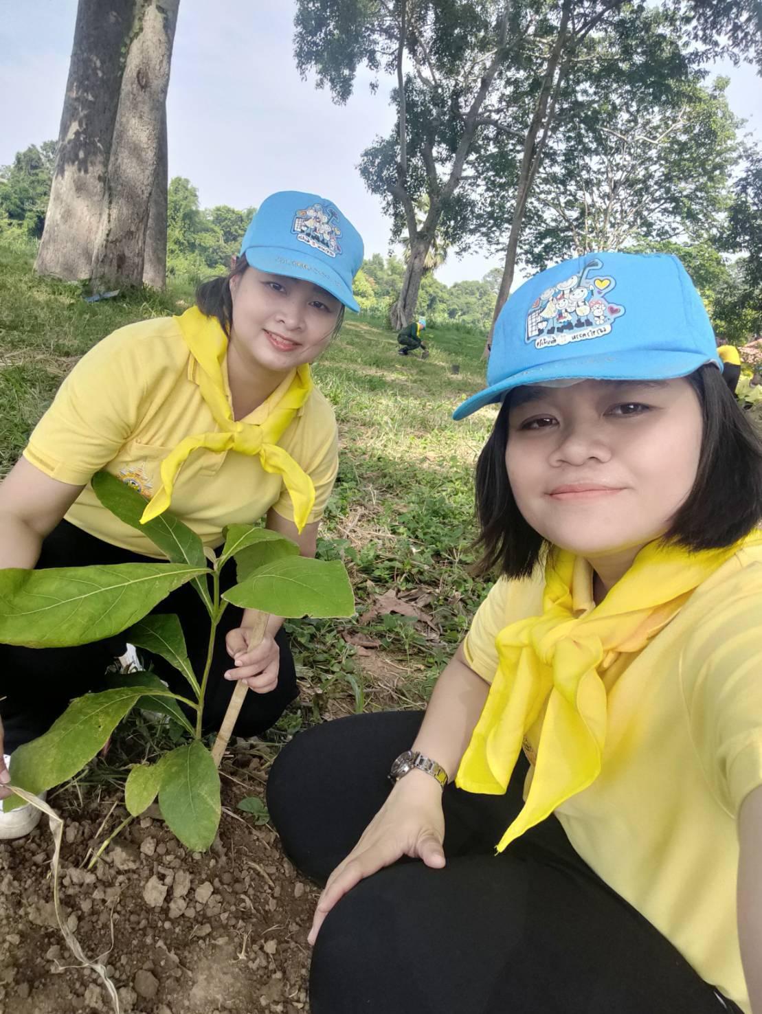 ภาพประกอบที่ 0