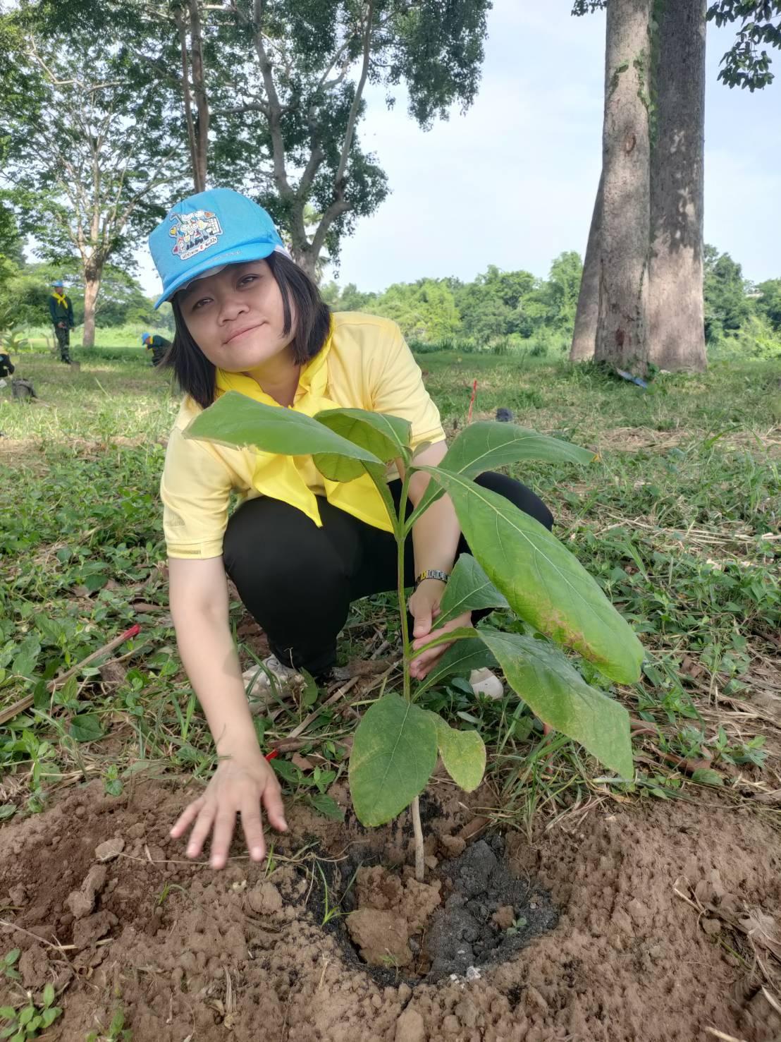 ภาพประกอบที่ 1