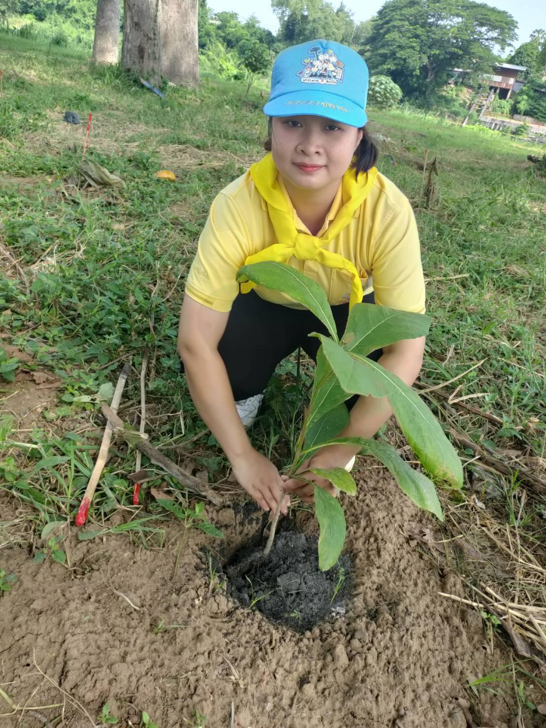 ภาพประกอบที่ 2