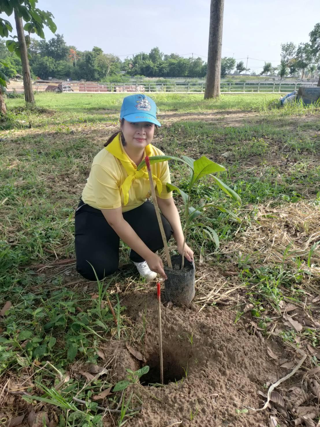 ภาพประกอบที่ 3