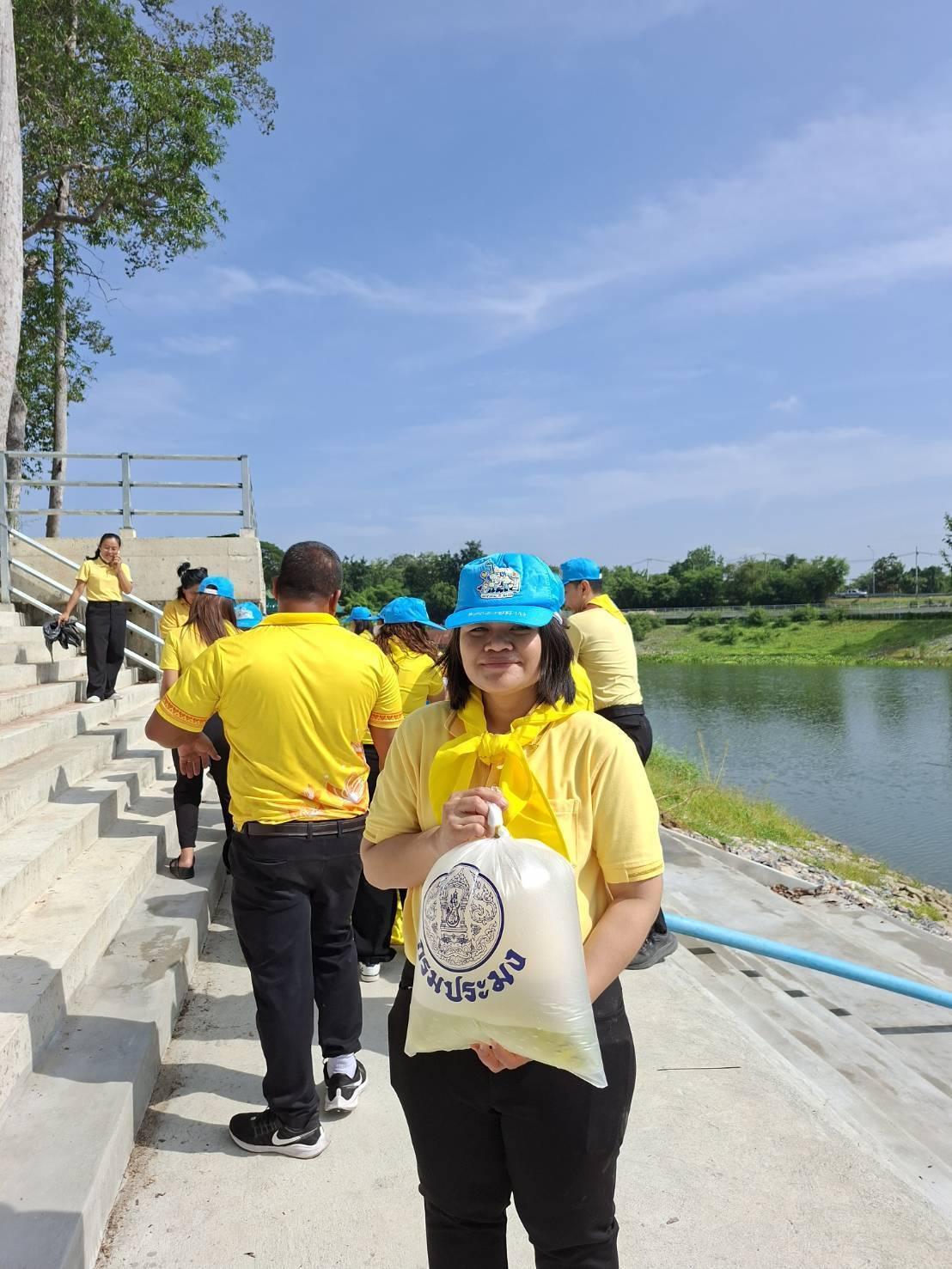 ภาพประกอบที่ 5