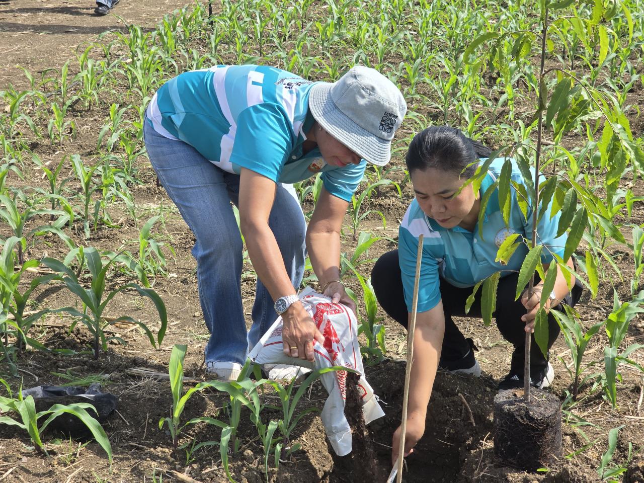 ภาพประกอบที่ 4