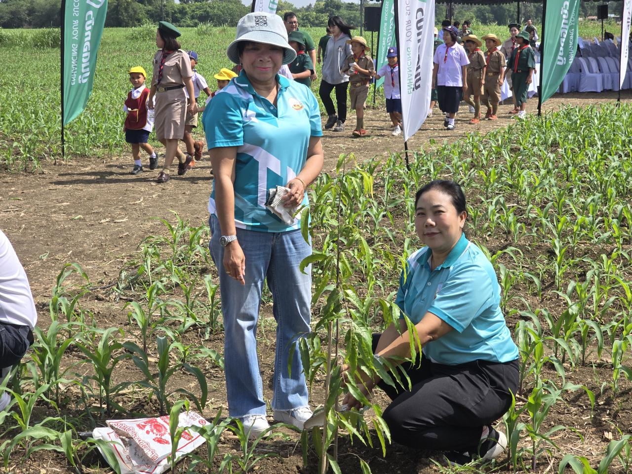 ภาพประกอบที่ 5