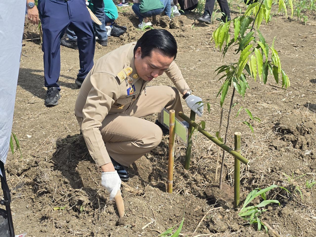 ภาพประกอบที่ 6