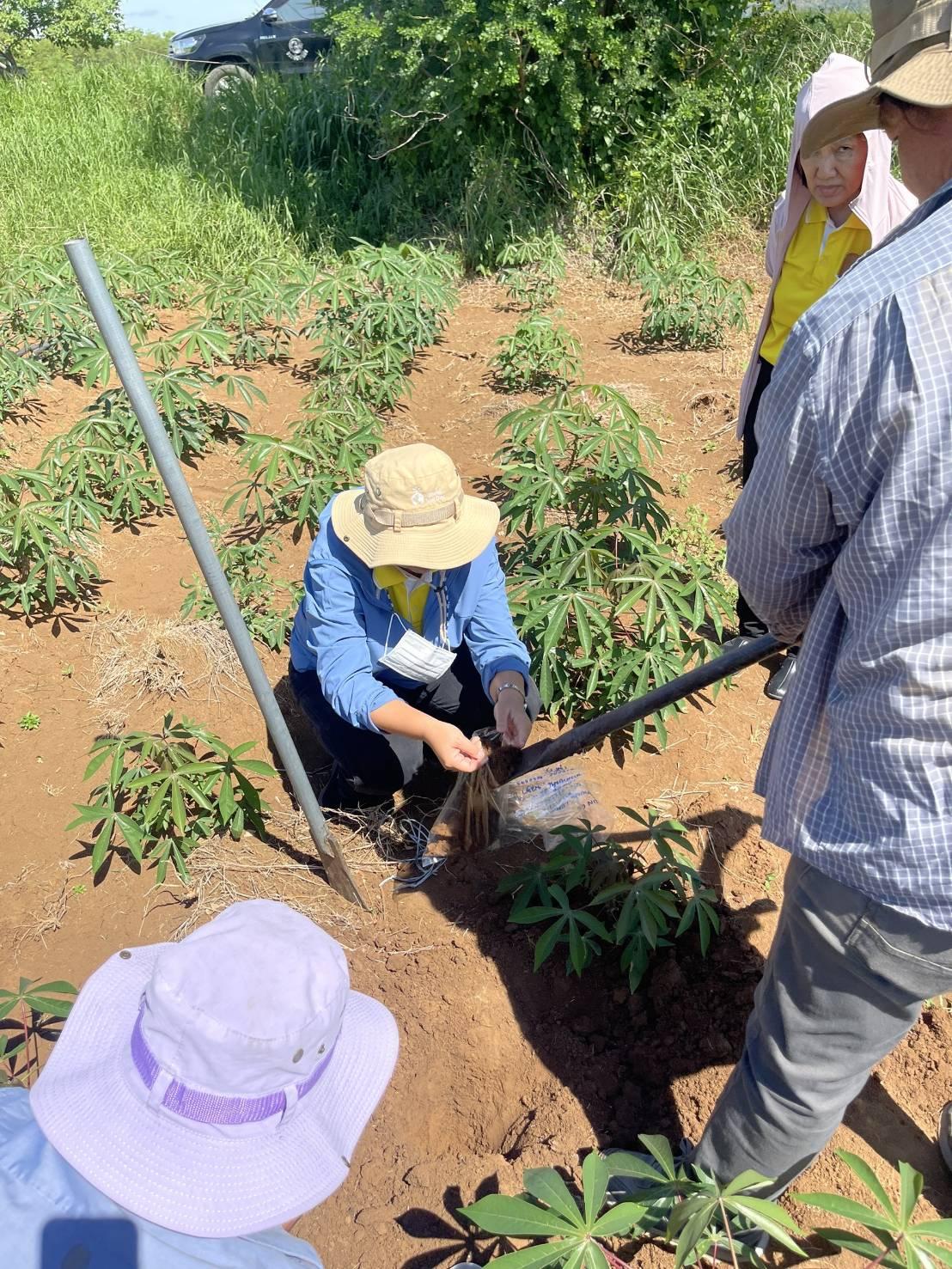 ภาพประกอบที่ 0