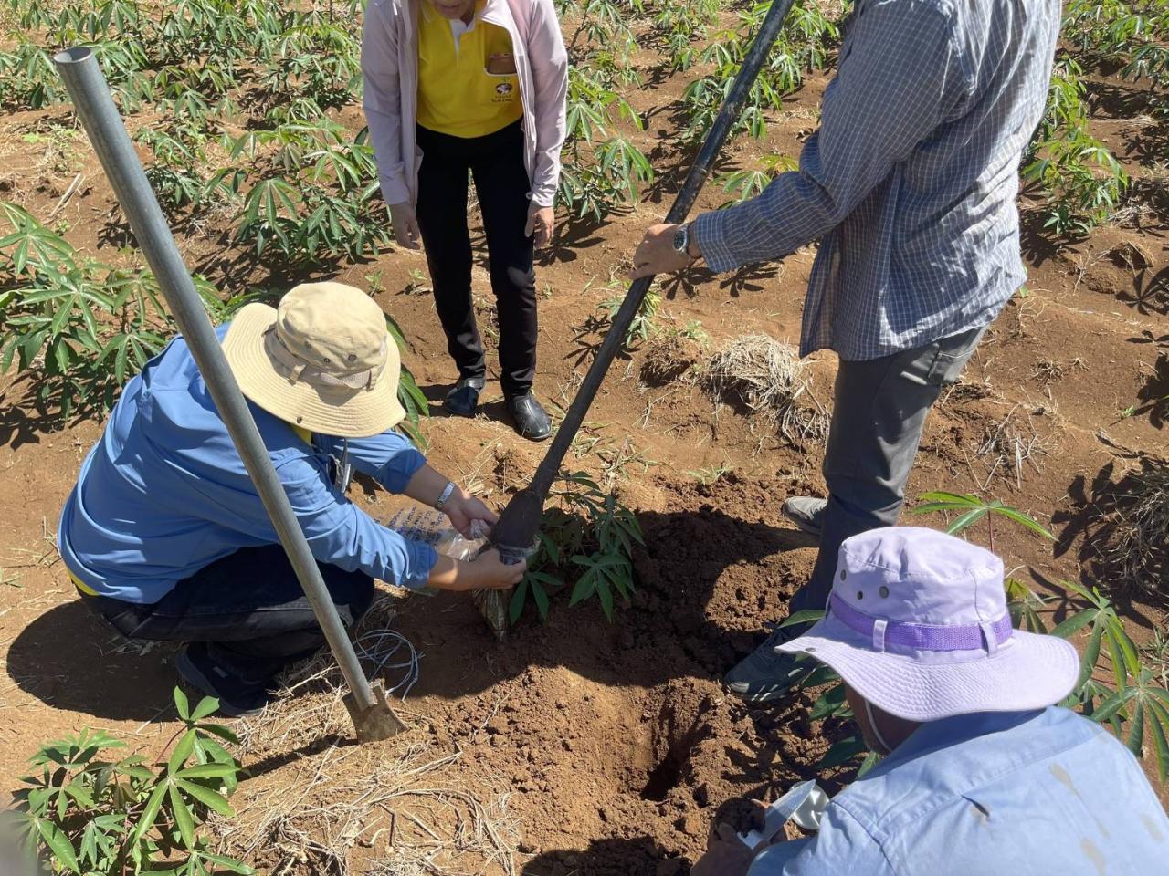 ภาพประกอบที่ 1