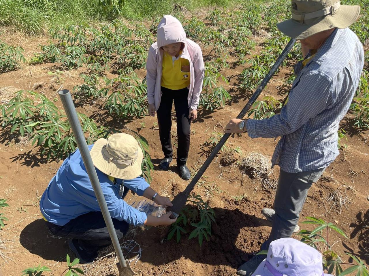 ภาพประกอบที่ 2