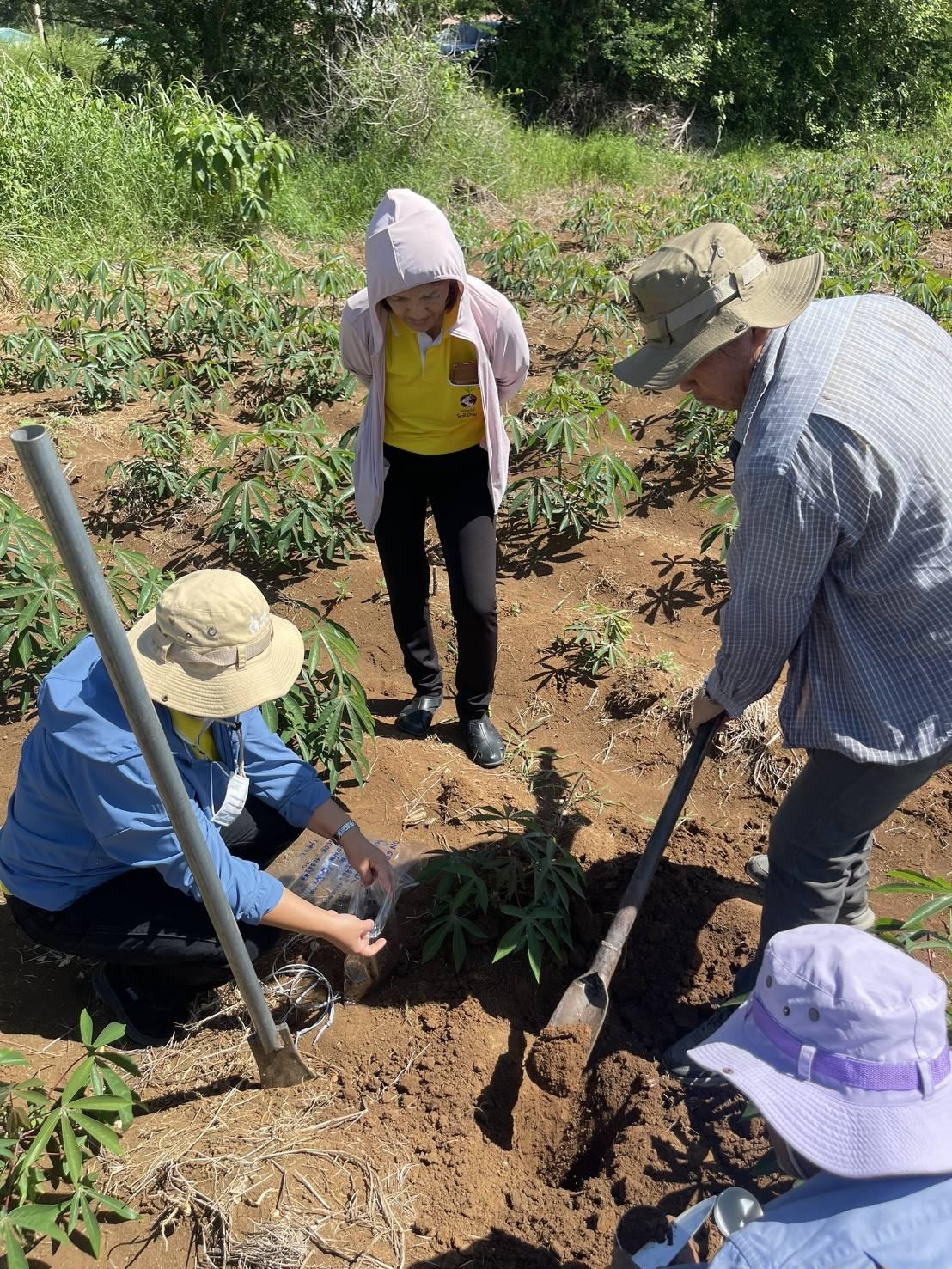 ภาพประกอบที่ 3