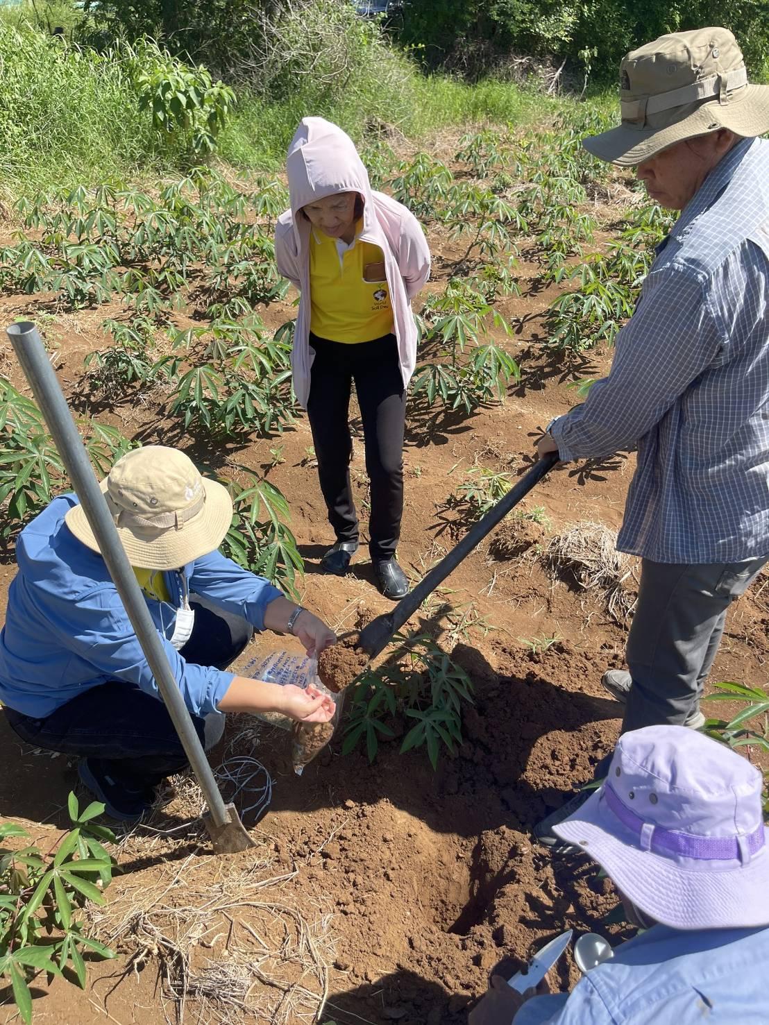 ภาพประกอบที่ 4