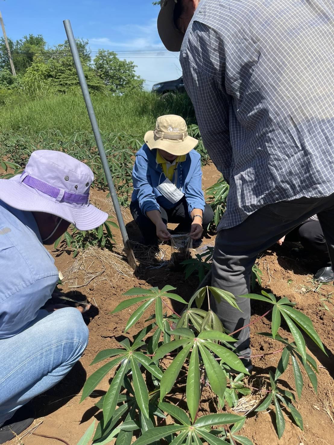 ภาพประกอบที่ 5