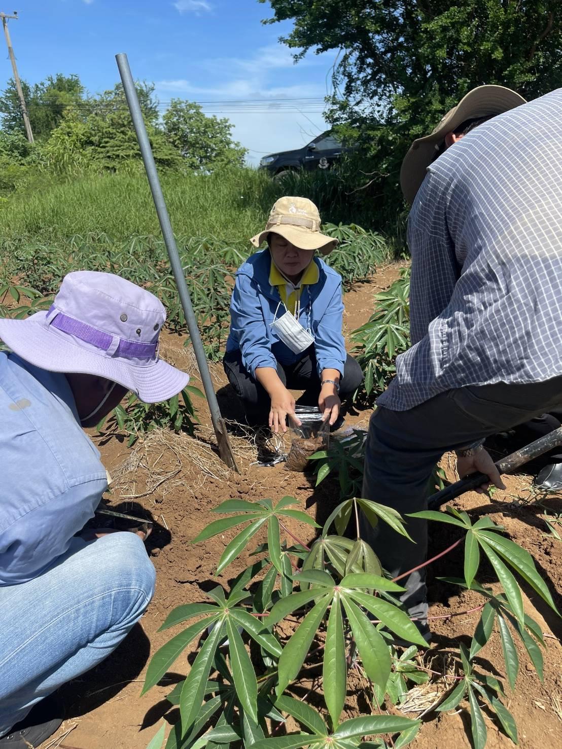 ภาพประกอบที่ 6