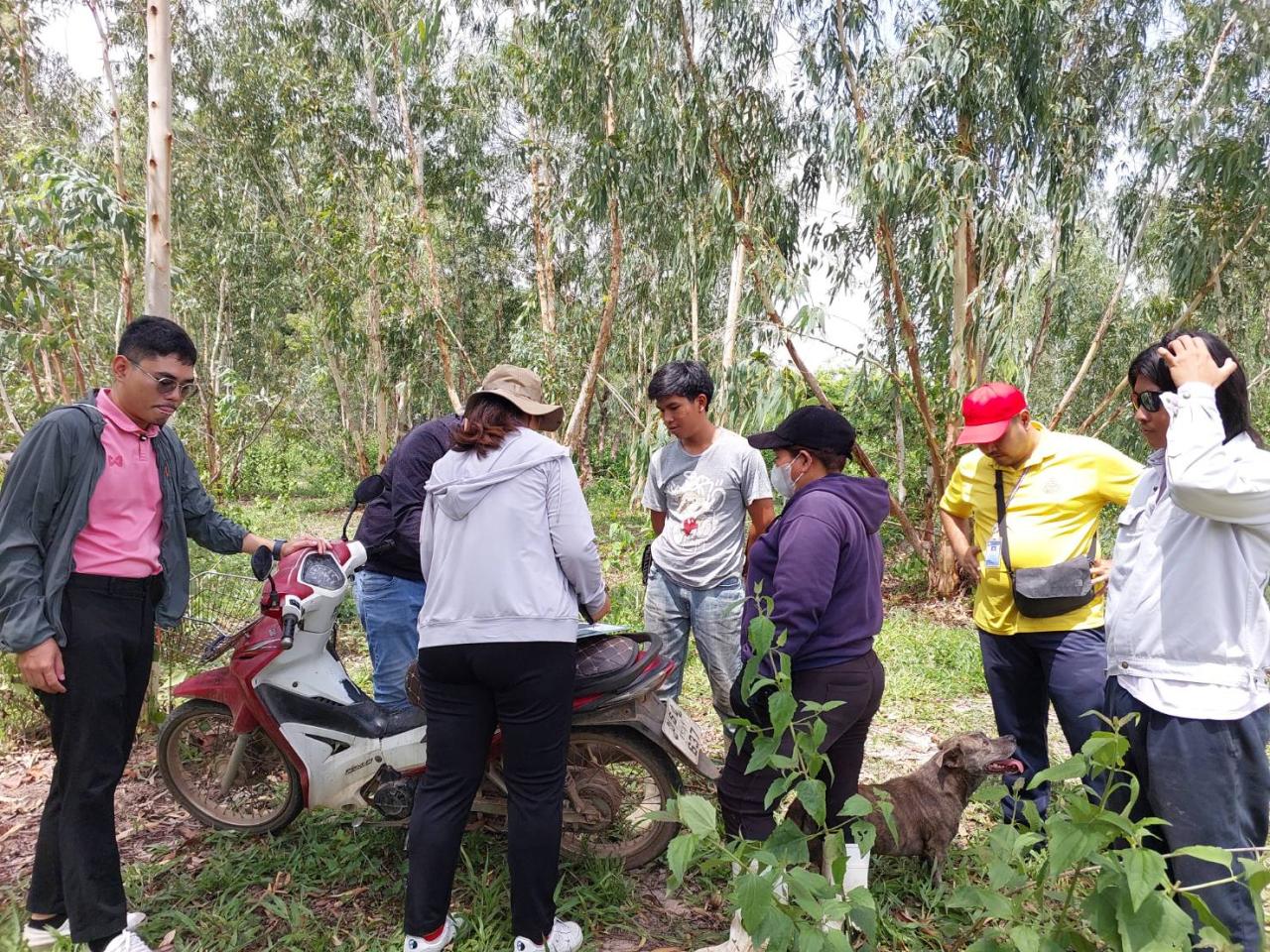 ภาพประกอบที่ 1