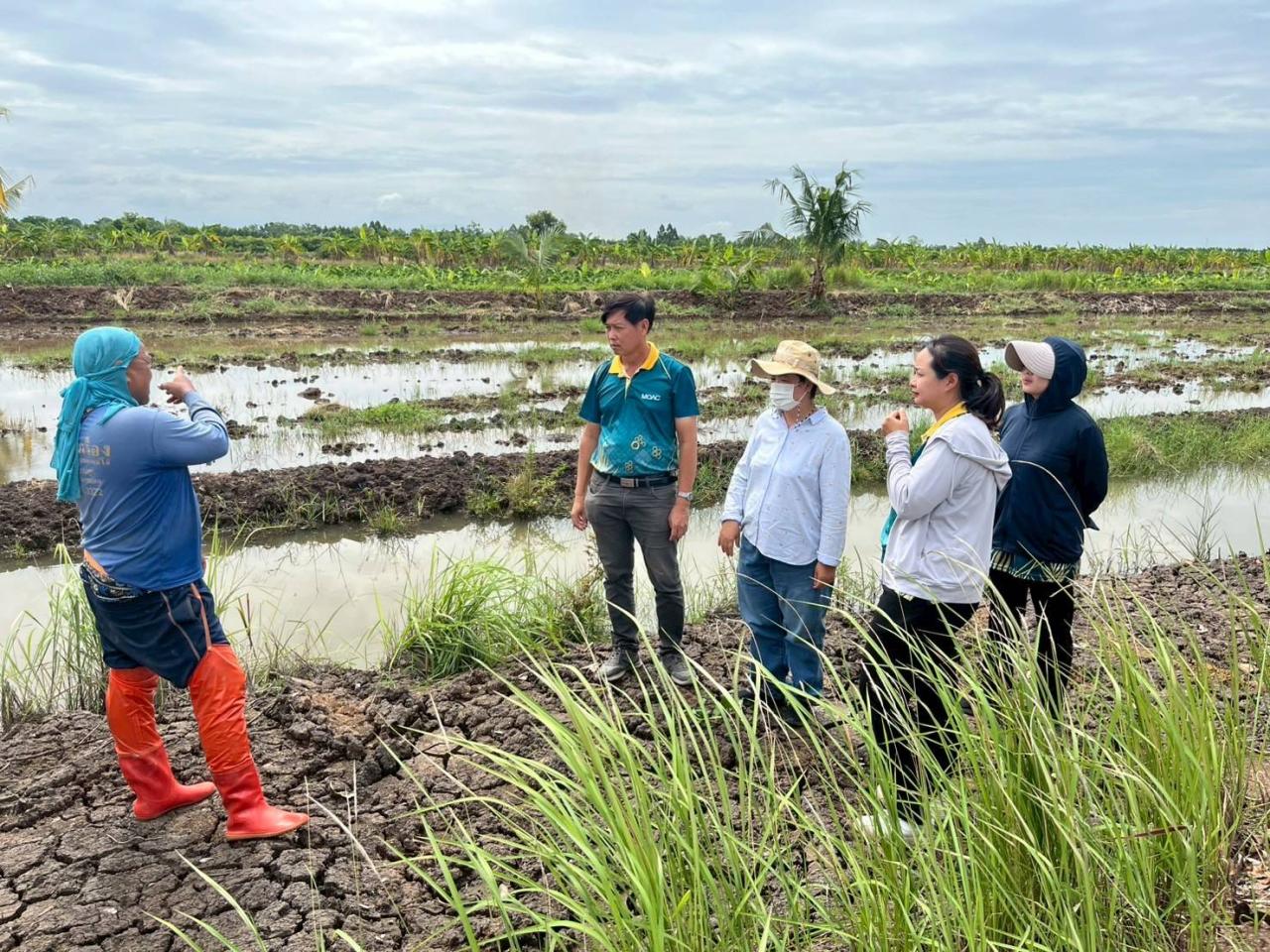 ภาพประกอบที่ 1