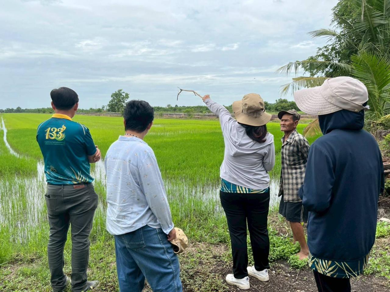 ภาพประกอบที่ 3