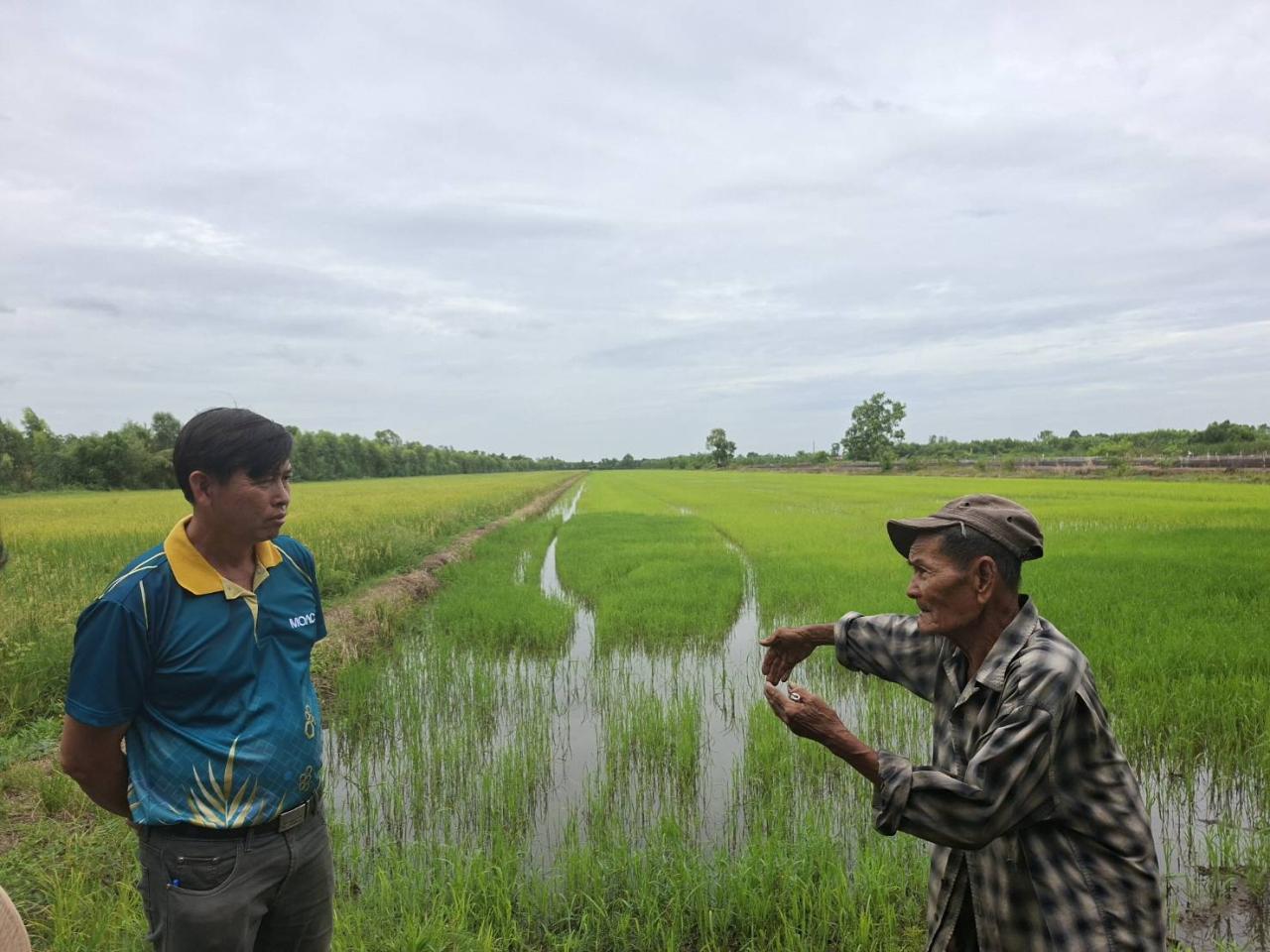 ภาพประกอบที่ 5