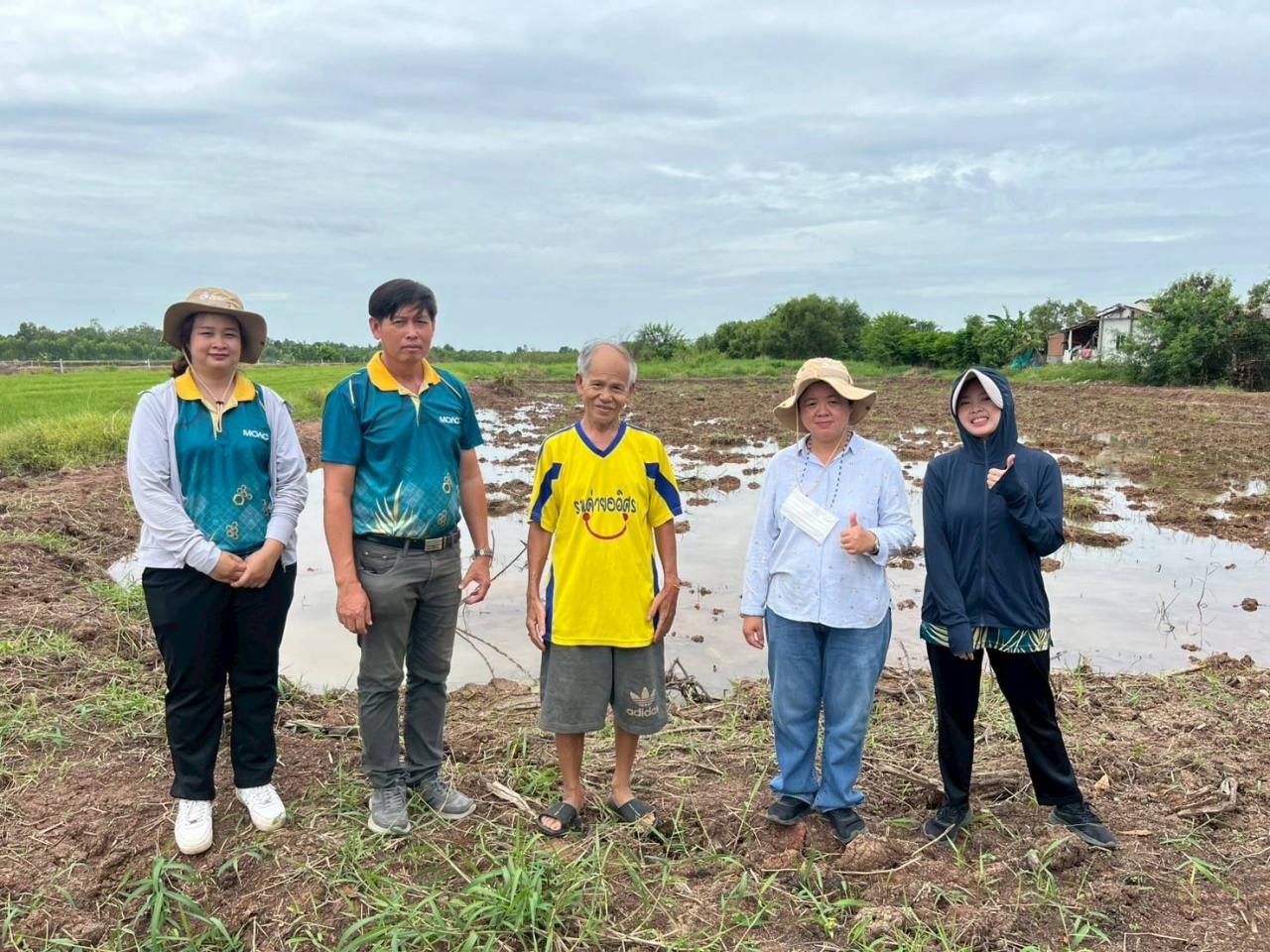 ภาพประกอบที่ 7