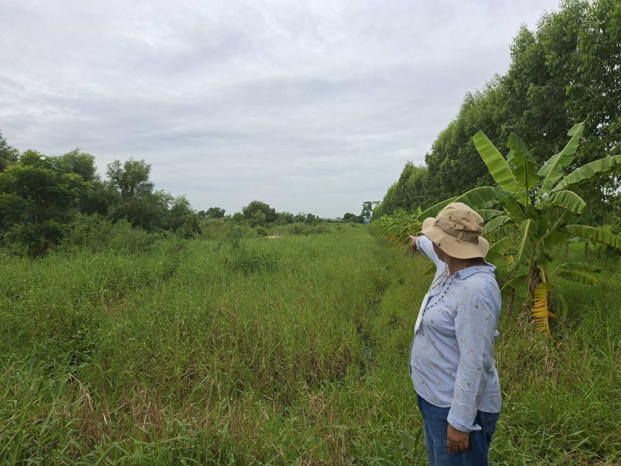 ภาพประกอบที่ 8