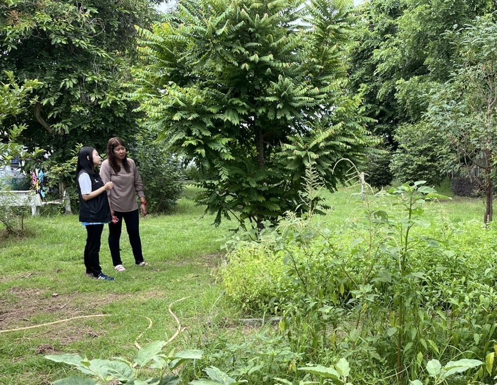 ภาพประกอบที่ 3