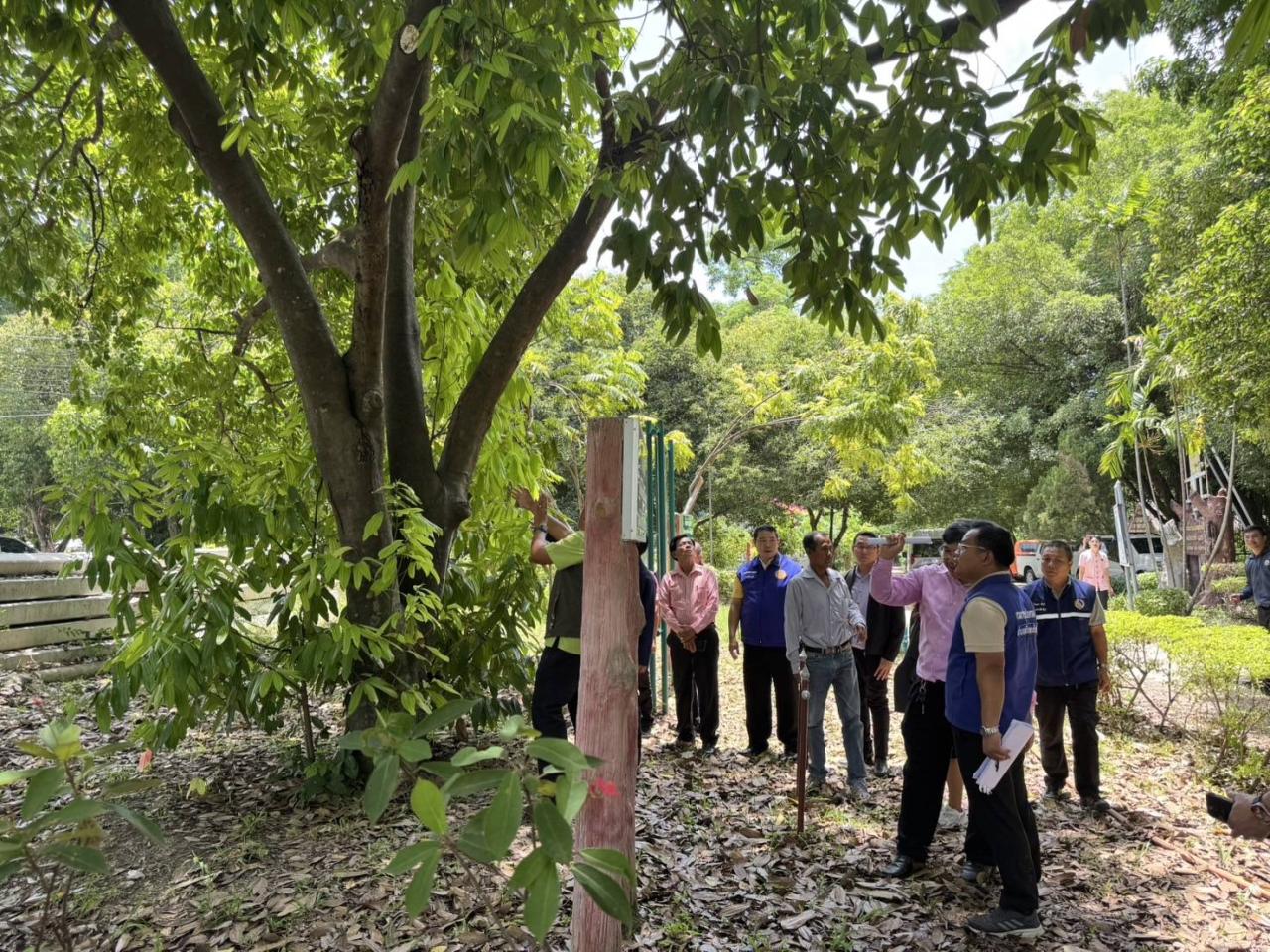 ภาพประกอบที่ 17