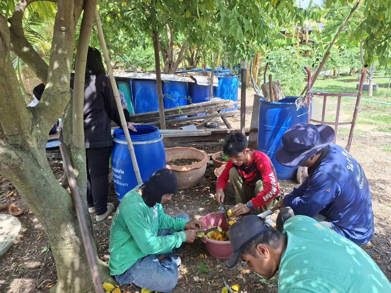 ภาพประกอบที่ 3