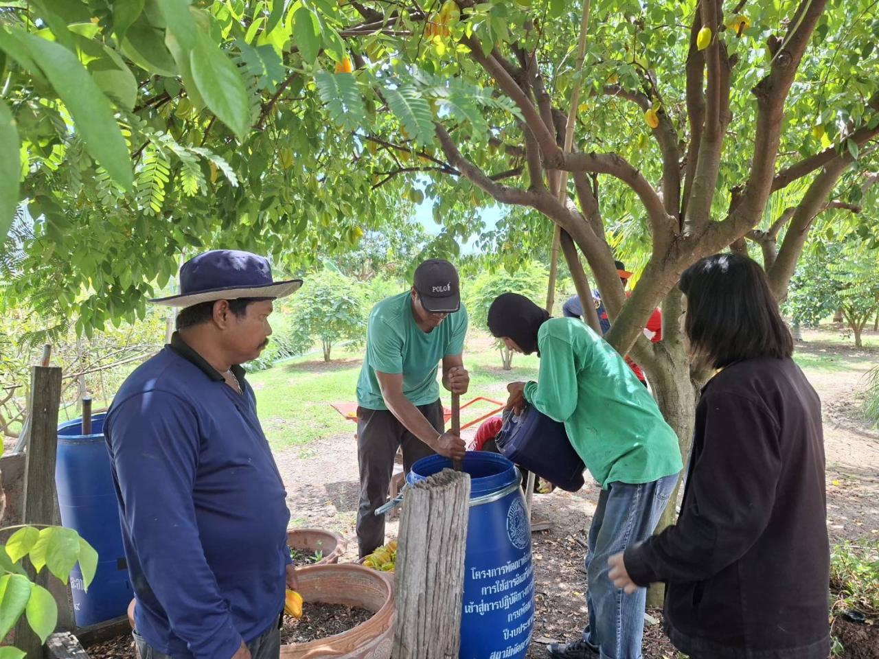 ภาพประกอบที่ 5