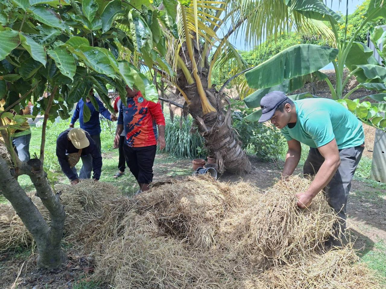 ภาพประกอบที่ 6