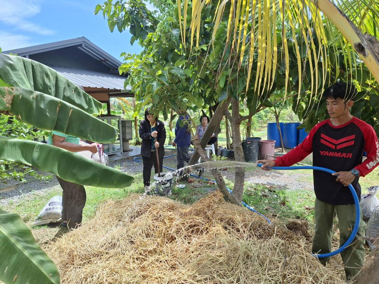 ภาพประกอบที่ 7