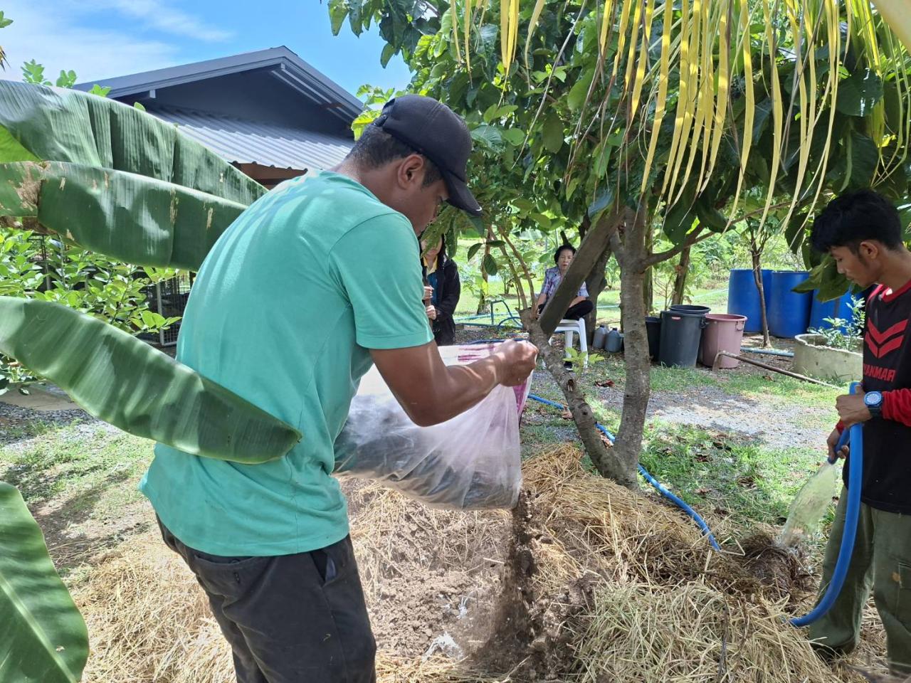 ภาพประกอบที่ 8