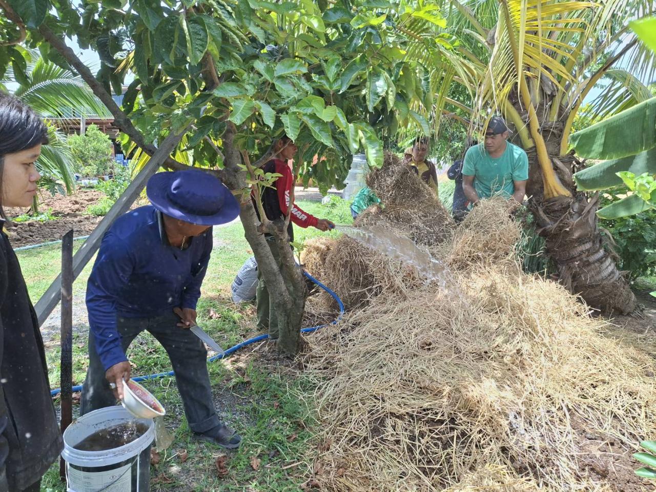 ภาพประกอบที่ 9