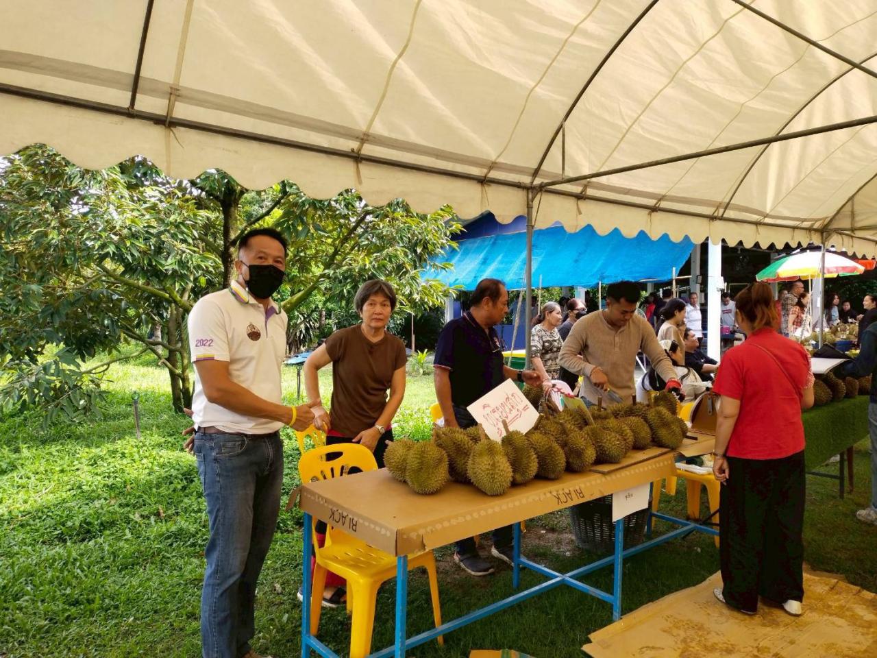 ภาพประกอบที่ 5