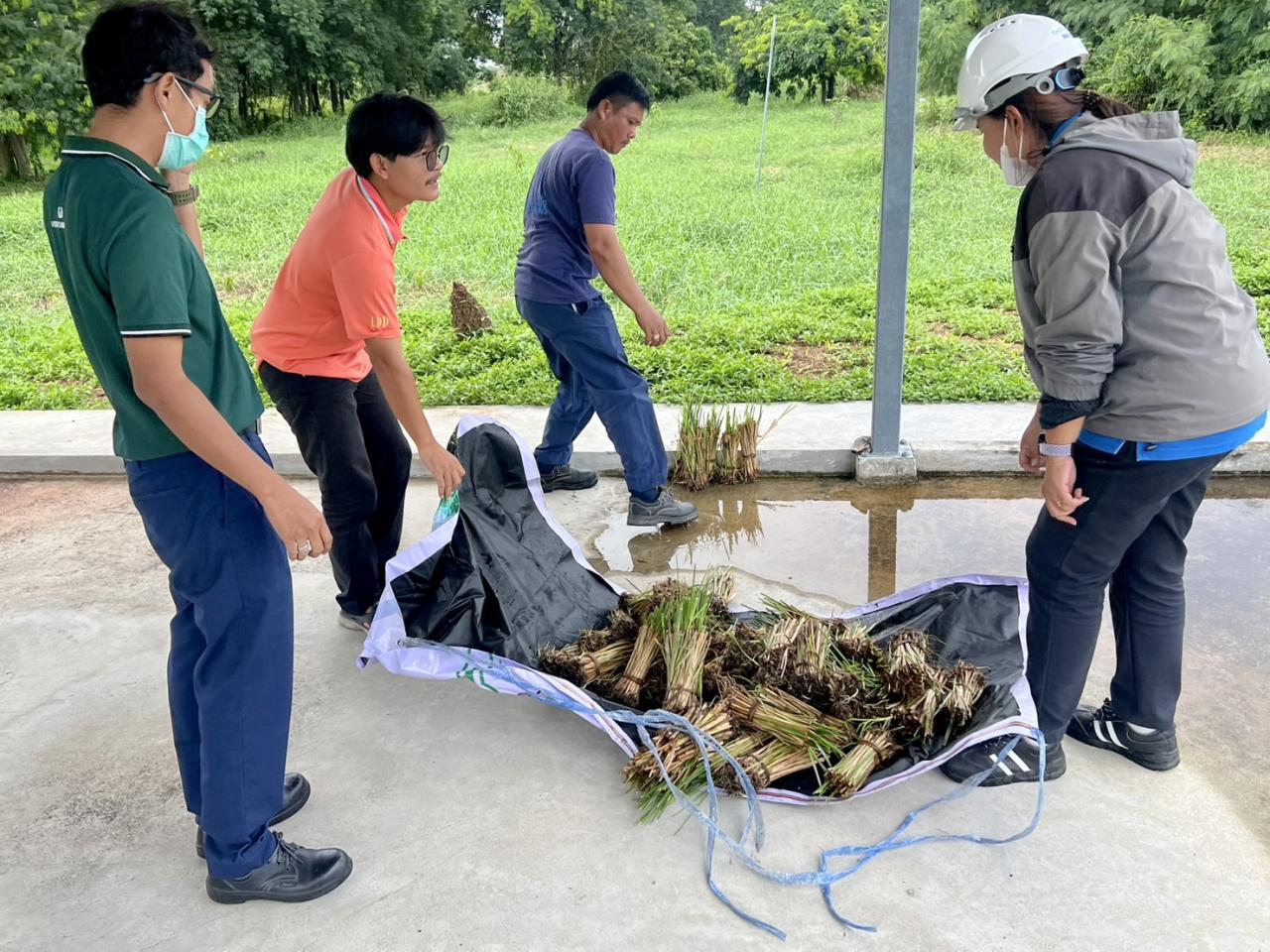 ภาพประกอบที่ 2