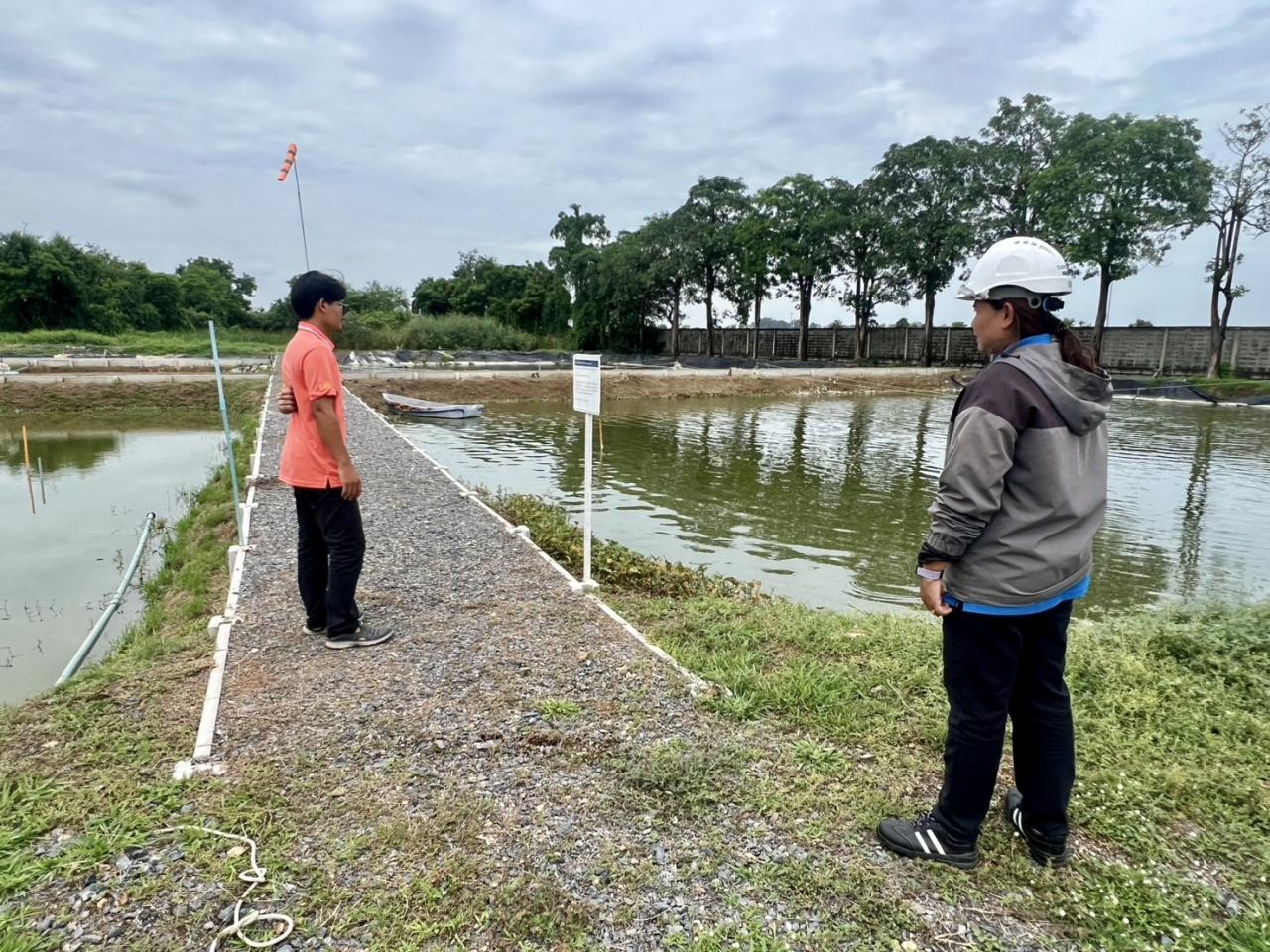 ภาพประกอบที่ 3