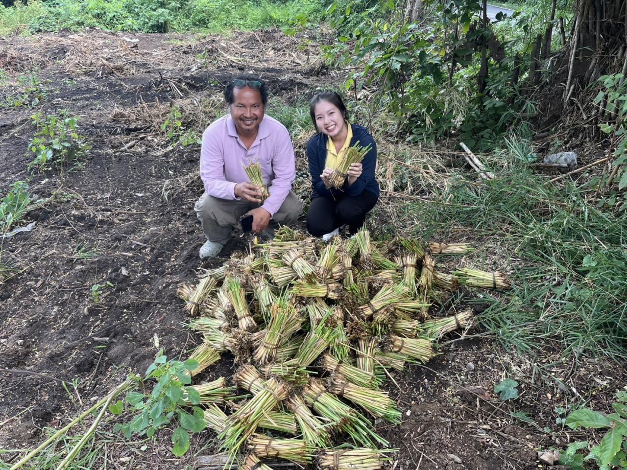 ภาพประกอบที่ 5