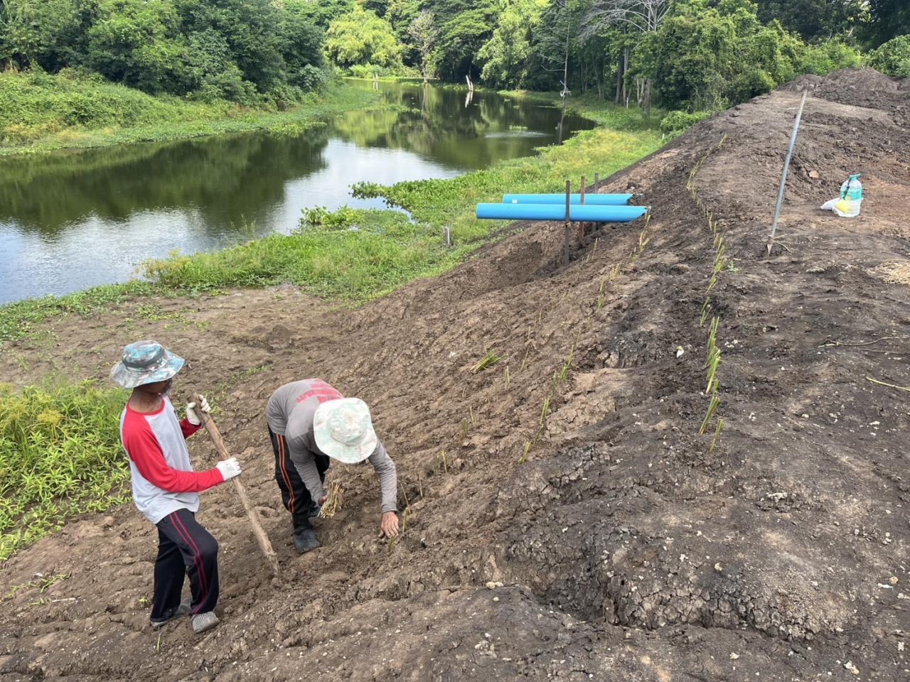 ภาพประกอบที่ 7