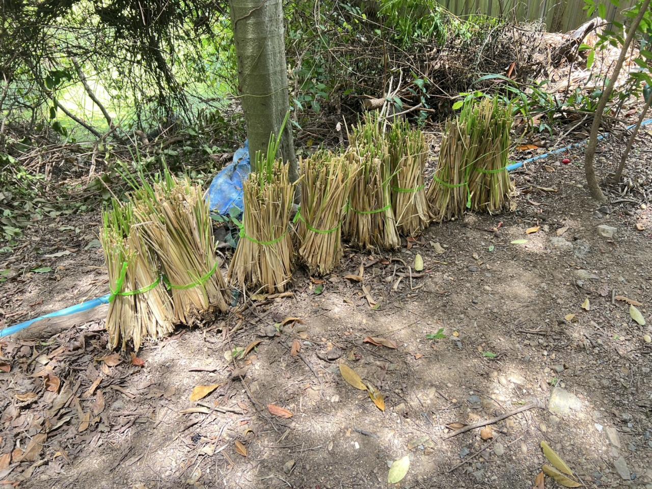 ภาพประกอบที่ 9