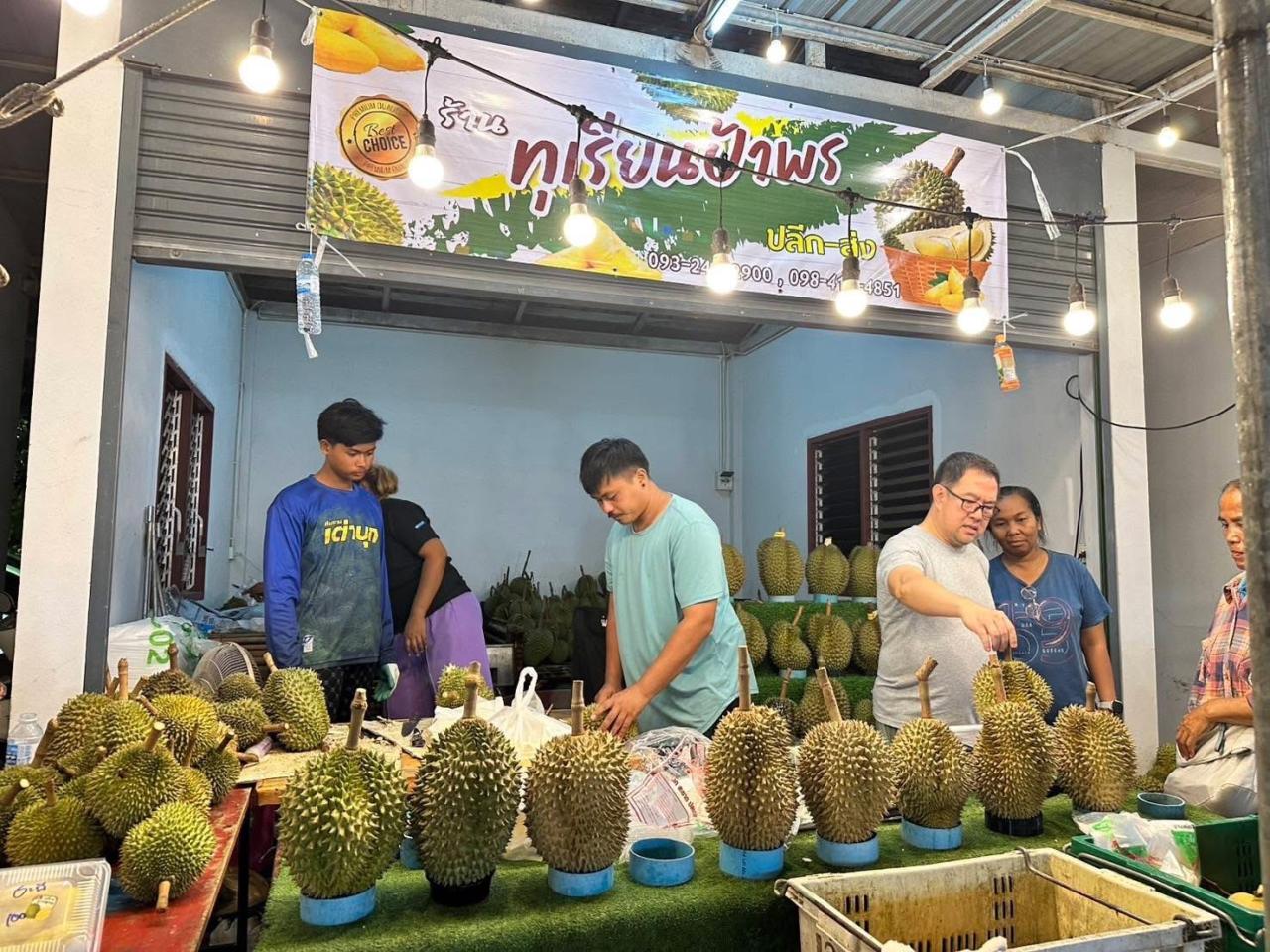 ภาพประกอบที่ 11