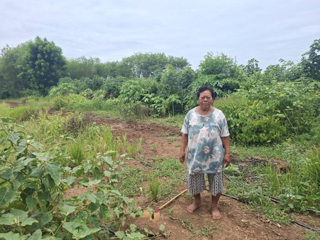 ภาพประกอบที่ 5