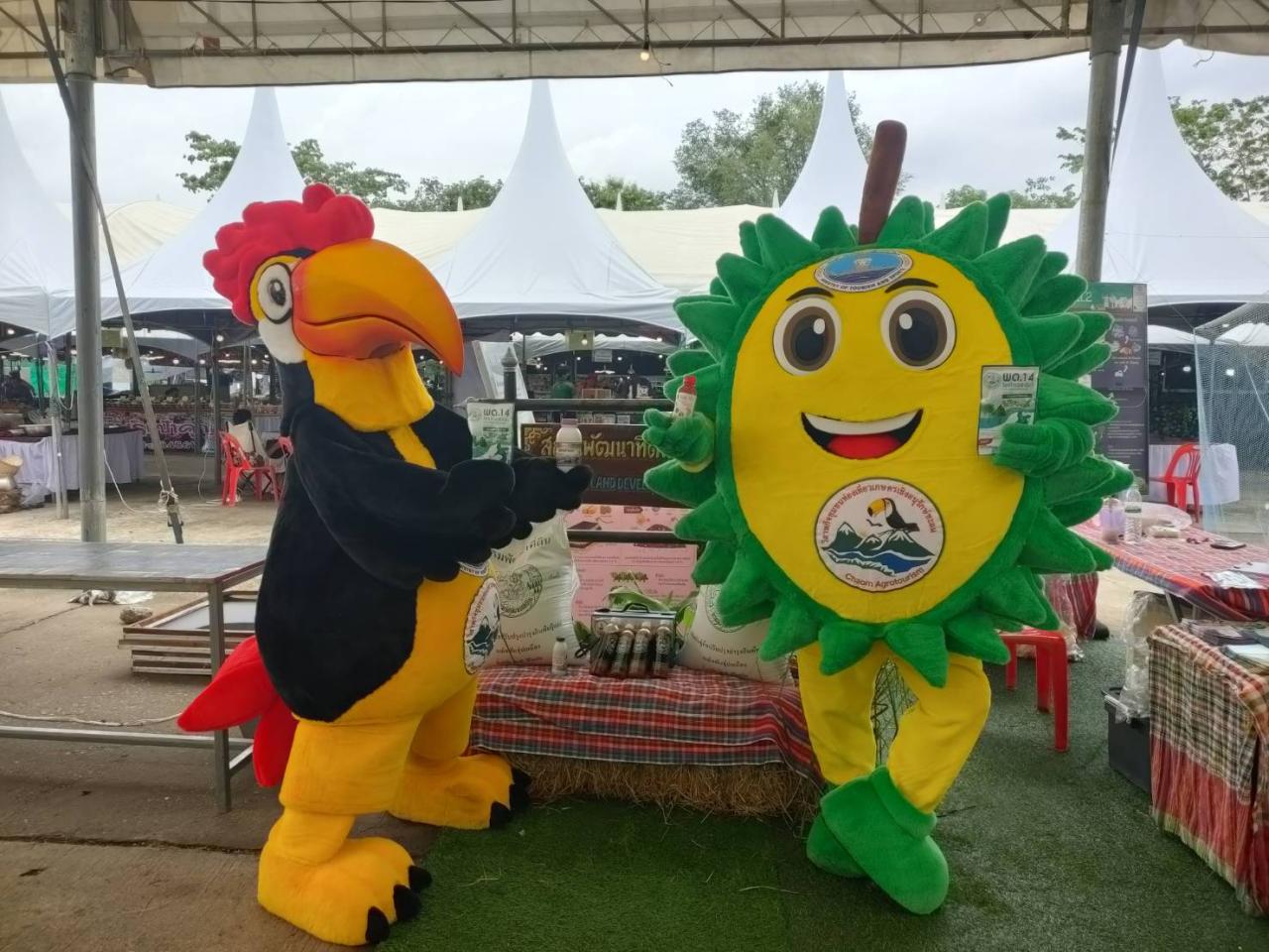 ภาพประกอบที่ 7