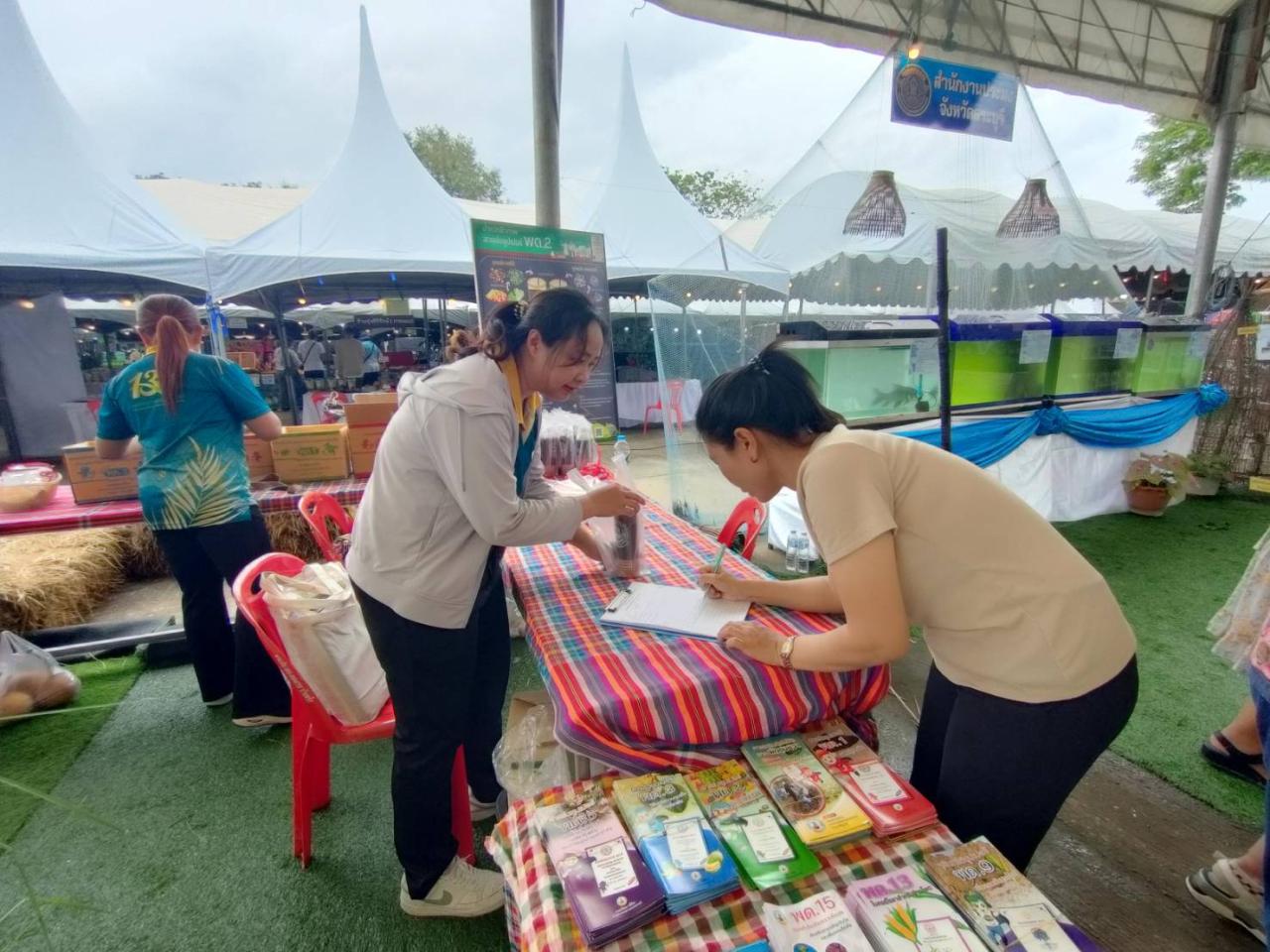 ภาพประกอบที่ 8