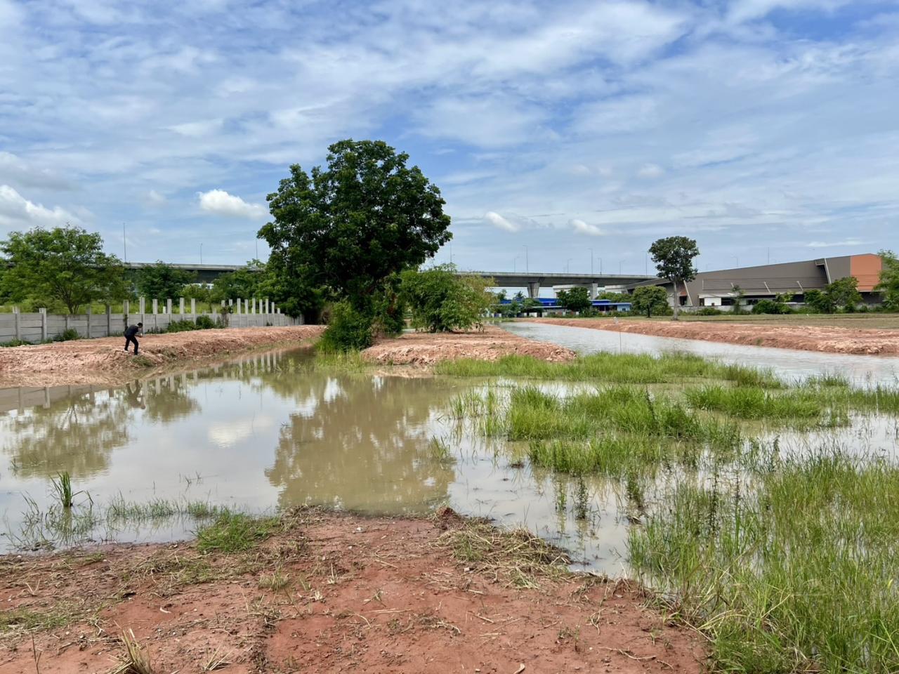 ภาพประกอบที่ 3