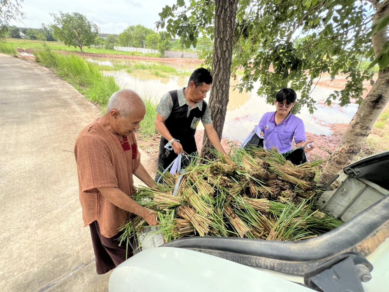 ภาพประกอบที่ 5