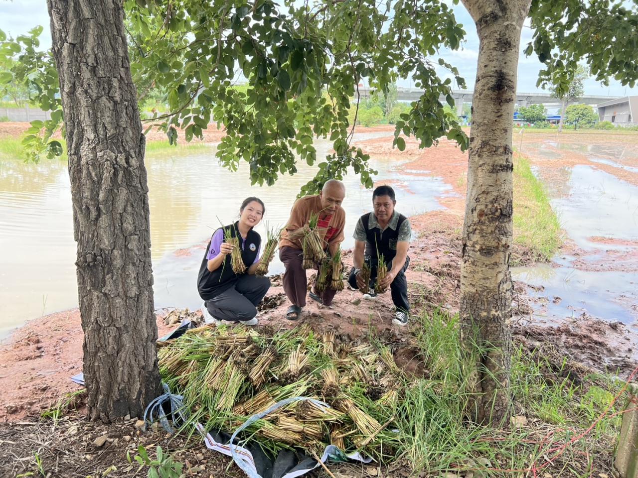 ภาพประกอบที่ 6