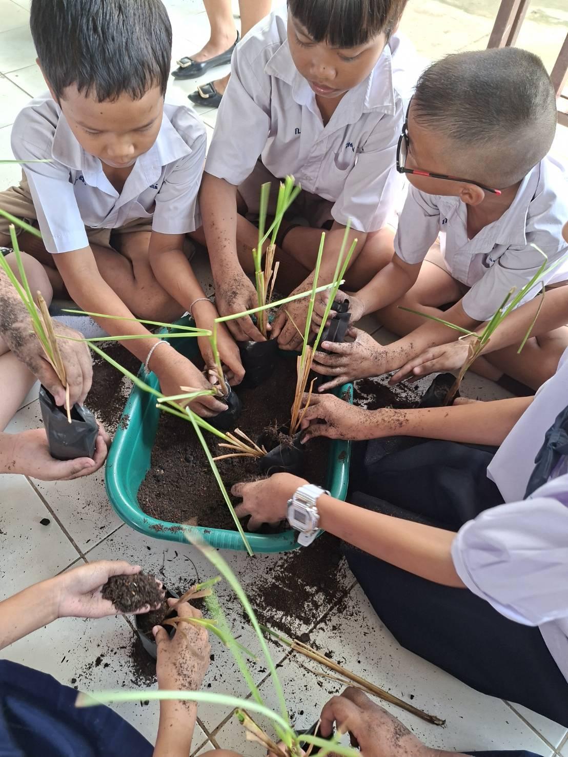 ภาพประกอบที่ 1