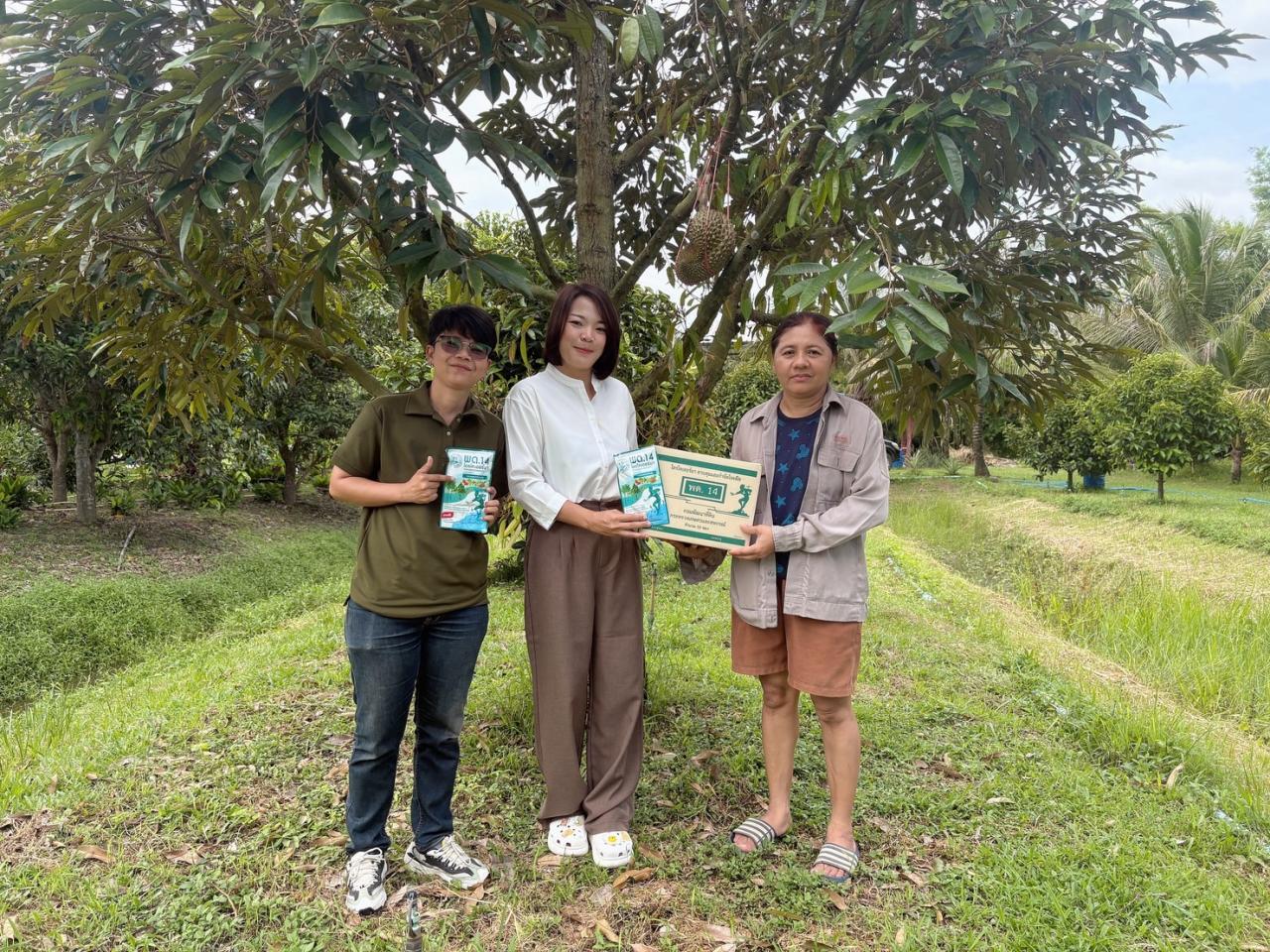 ภาพประกอบที่ 1