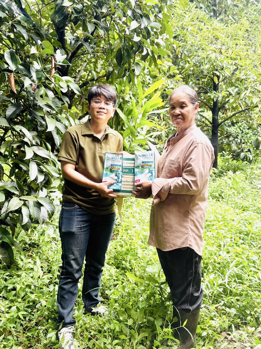 ภาพประกอบที่ 4