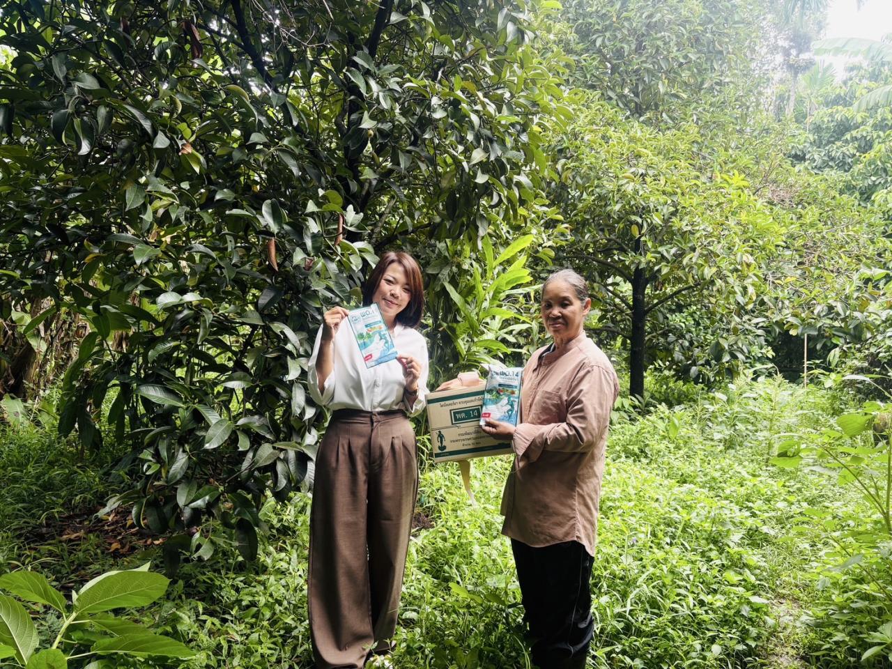 ภาพประกอบที่ 5