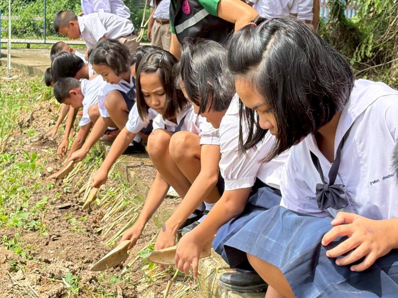 ภาพประกอบที่ 0